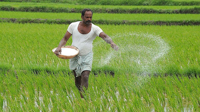 rupees 700 bonus announced for rice farmers in Gadchiroli district