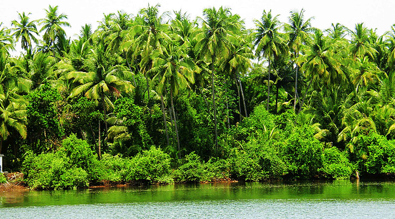 Kerala Tourisam