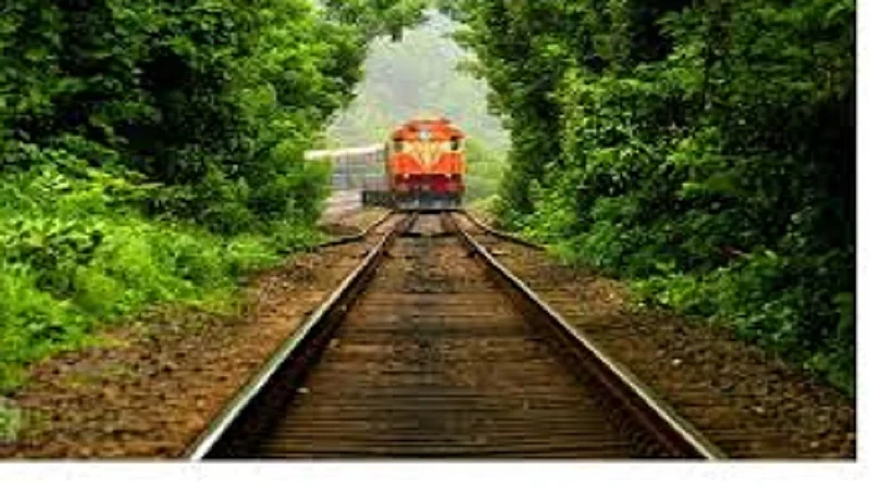 former BJP MLA Bal Manehe demand for Railway Minister and CMD of Konkan Railway