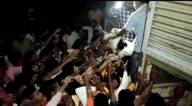 poultry holders felt hunks for free in belgaum
