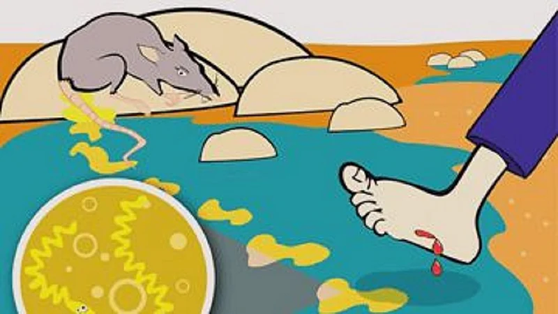 पाऊस तर ओसरला; मुंबईत आता मात्र डेंगी, लेप्टोचा वाढता धोका