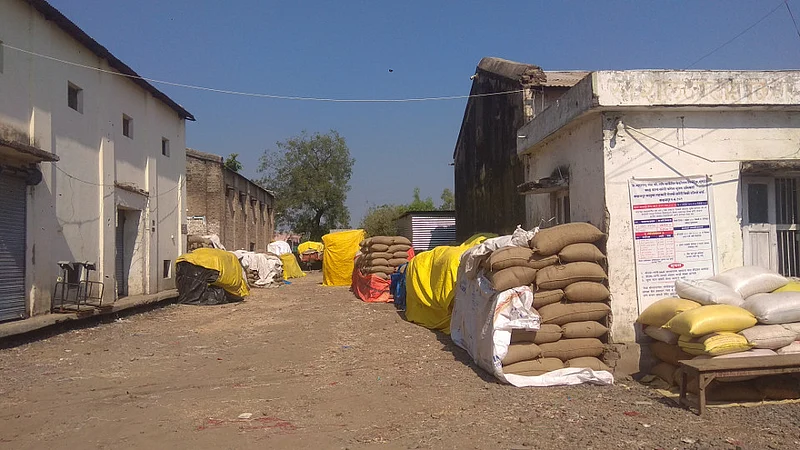 Akola News: Government does not have space to store maize at Sangrampur, farmers waiting to buy 2,000 quintals