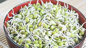 स्वयंपाकाच्या ‘तयारी’तच मोठी पोषकता स्वयंपाकाच्या ‘तयारी’तच मोठी पोषकता