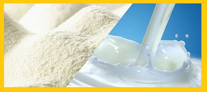 At Akola Risod, milk is getting the highest price in the state!