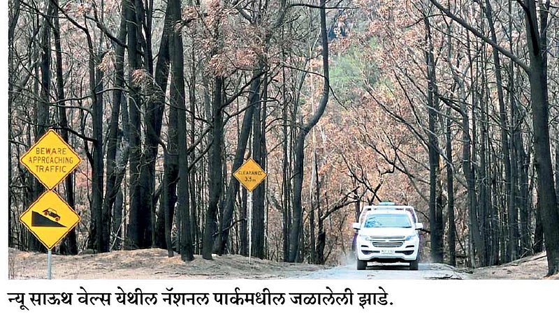 ऑस्ट्रेलियातली आग, जगासाठी धोक्याची घंटा!
