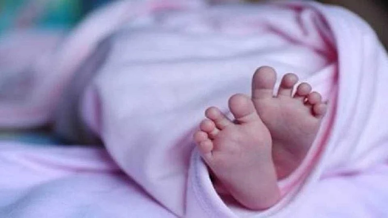 new born baby}