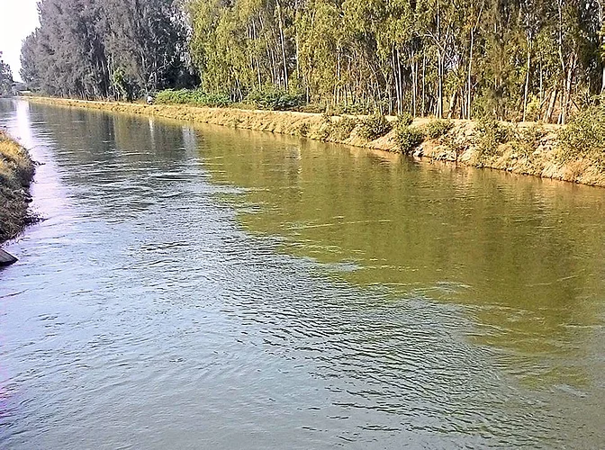 Abundant water in the Nira Valley dam still planted crops on the right canal