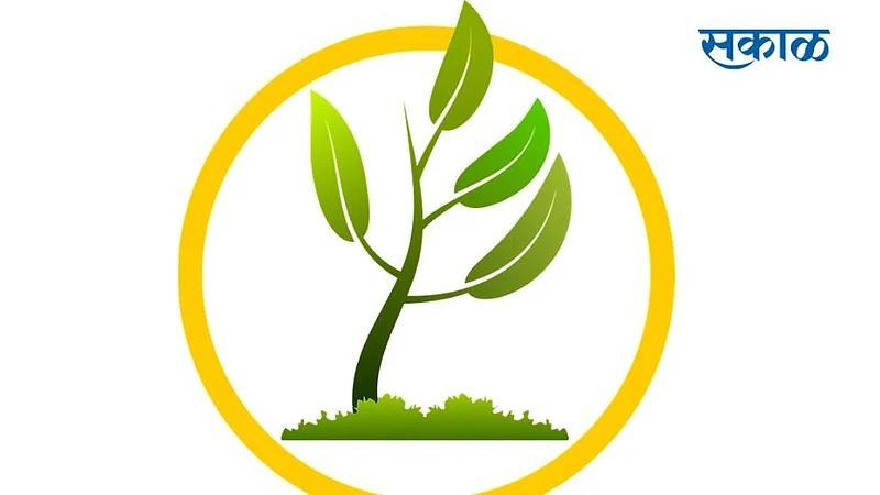 Oxygen Park Is Being Built In Rukdi Kolhapur Marathi News}