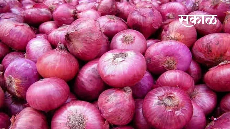 There is a shortage of onions in Kapdane village}