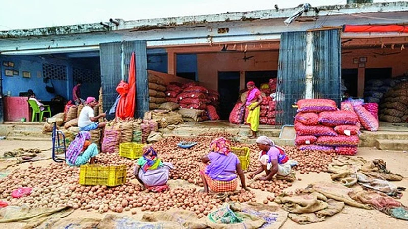 Businessman put their things in shade while farmers put in dust