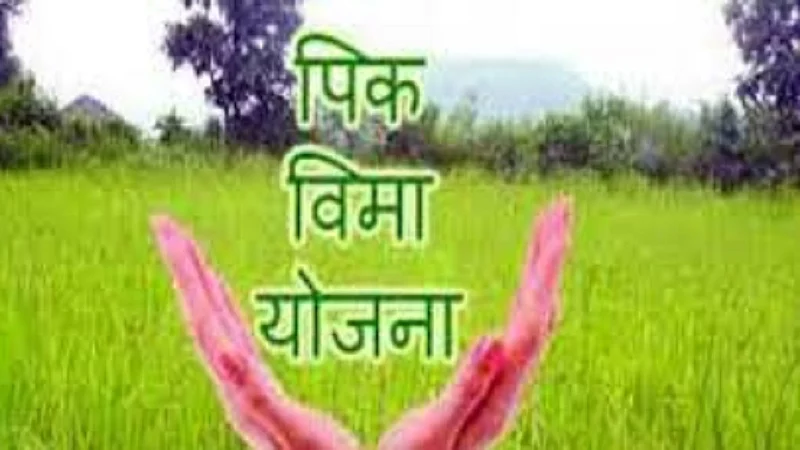 prime minister farmer scheme Recognition of the Government