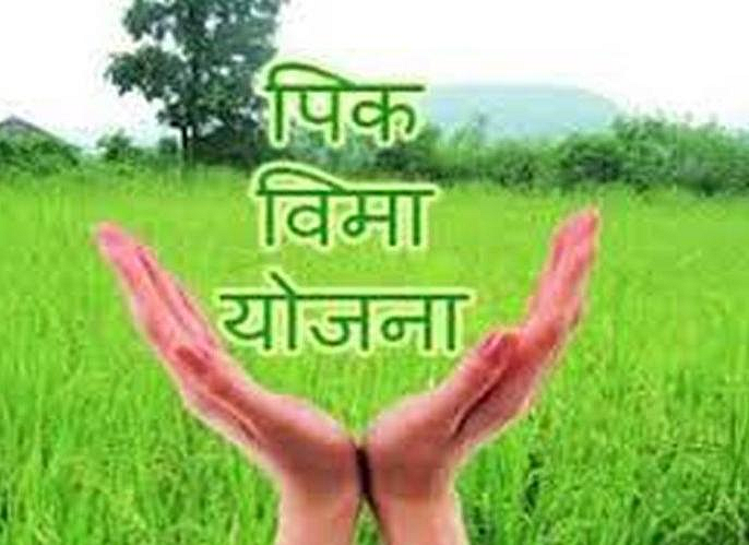 PM crop insurance scheme latest marathi news
