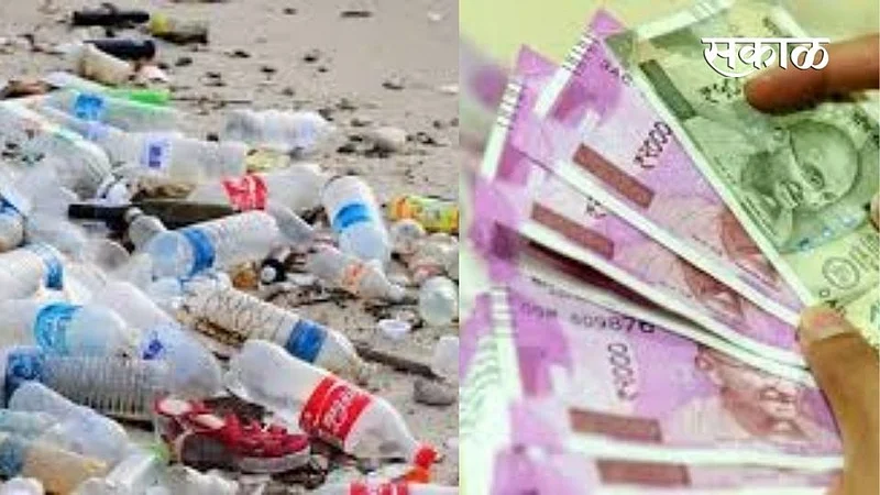 Plastic bishi on Sunday in Chiplun ratnagiri marathi news