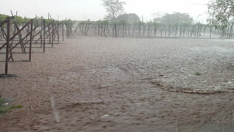 rain