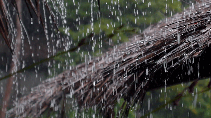 Rain warning with thunderstorms in Next 12 hours in Central Maharashtra