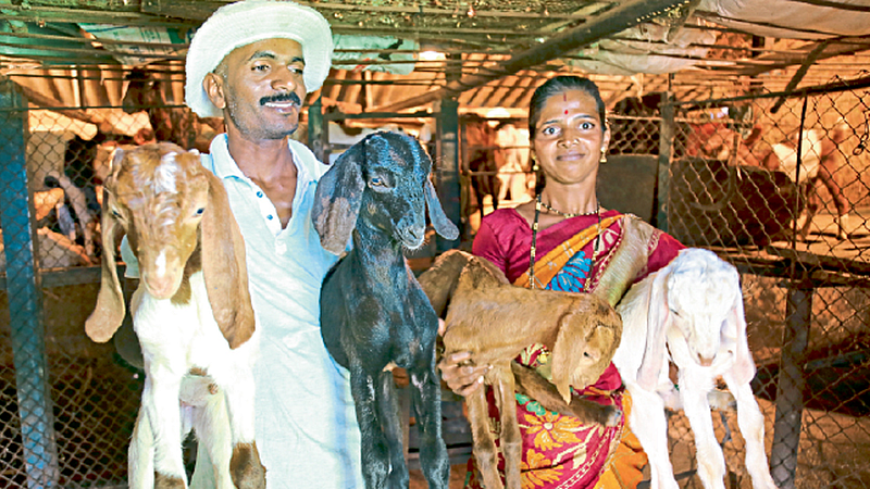 ramdas-bule