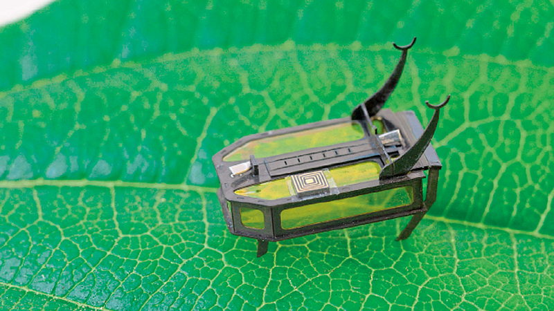 Row-Beetle running on methanol
