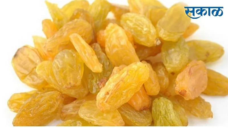 Raisins production will decline this year in Sangali; Only 60% of the goods in the cold storage; Expect good rates