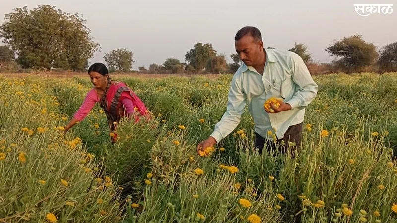 Agricultur News Aurangabad}