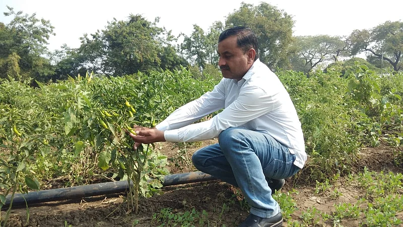 Akola Marathi News Success Story Complete non-toxic diet created in two acres, yield of Rs. 2.5 lakhs from 23 types of vegetables