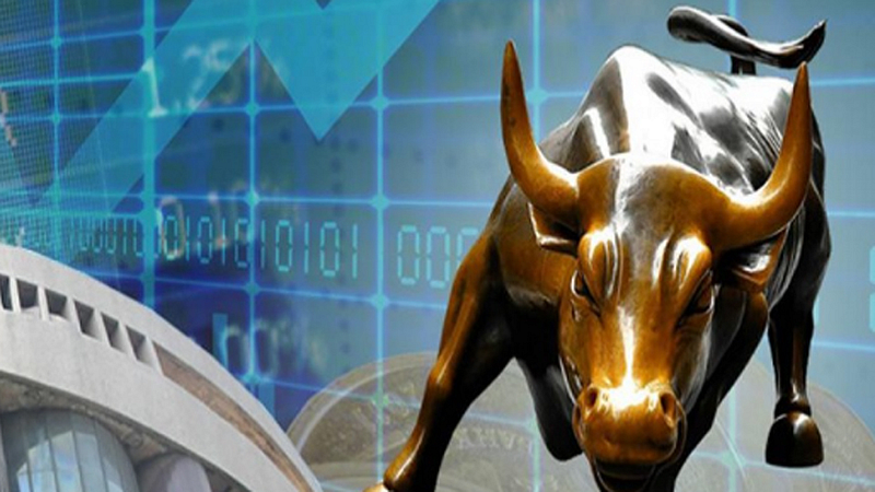 Share Market Updates