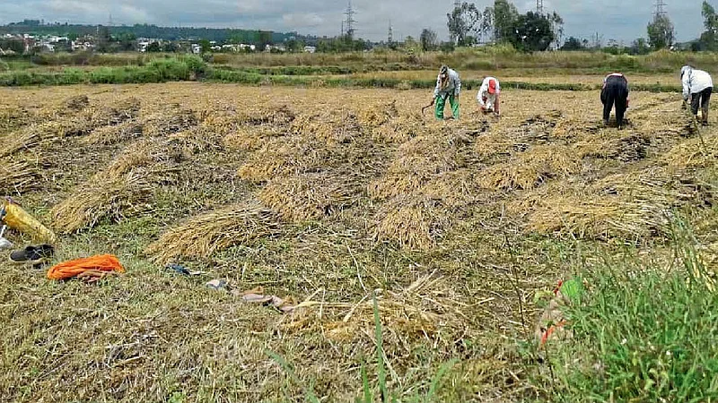 the farming working fastly in belgaum but rain atmosphere also change in balgam