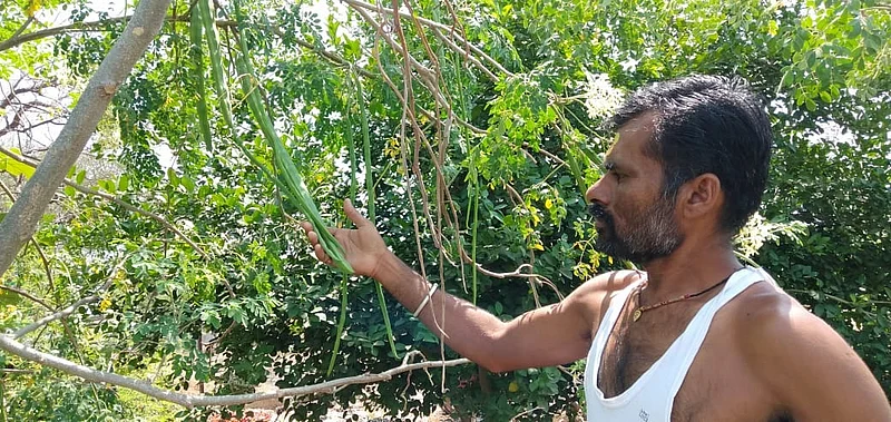 shevga