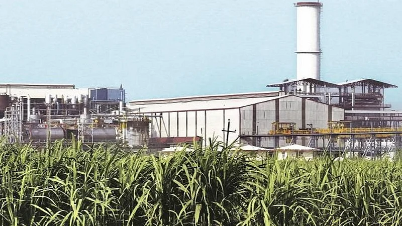 sugarcane factory