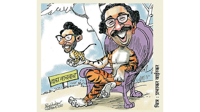 ढिंग टांग : वाघाचे दिवस! (एक अरण्यकथा...)