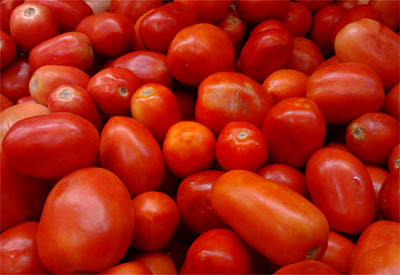 tomato