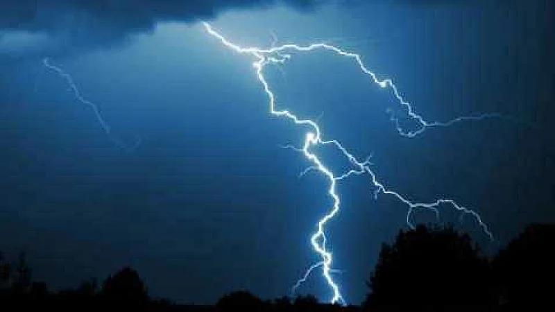Akola News: Rain kills 3 children, mother seriously injured, two farmers burnt, two killed in Washim