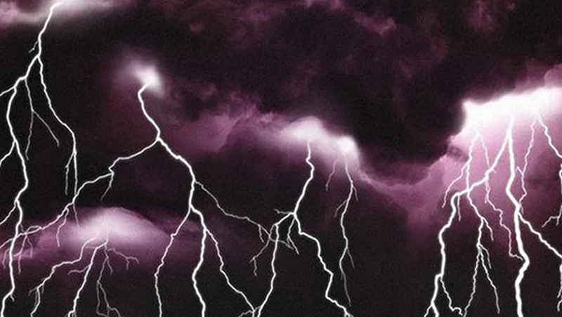 Electricity kills six in Yavatmal district