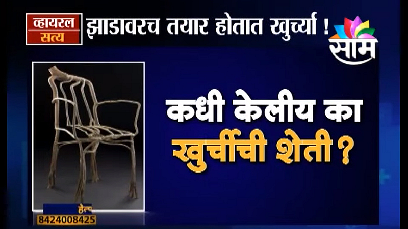 Viral Satya : झाडावरच तयार होतात खुर्च्या ! (Video)