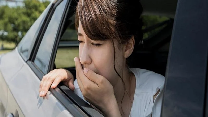 do these remedies and avoid vomiting while travelling