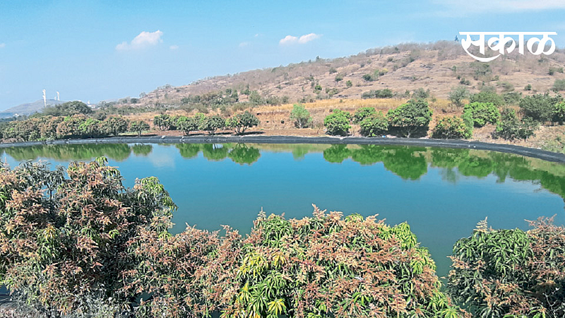 विनावीज जलसंधारण प्रयोगांतून डोंगरात निर्यातक्षम द्राक्ष बागा