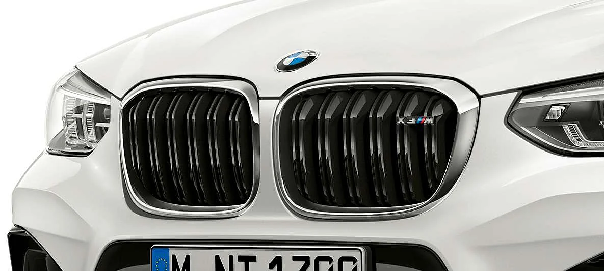 BMW signature kidney grille with blacked-out double bars