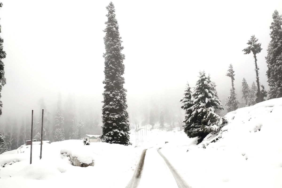 Thick blanket of snow in Kashmir