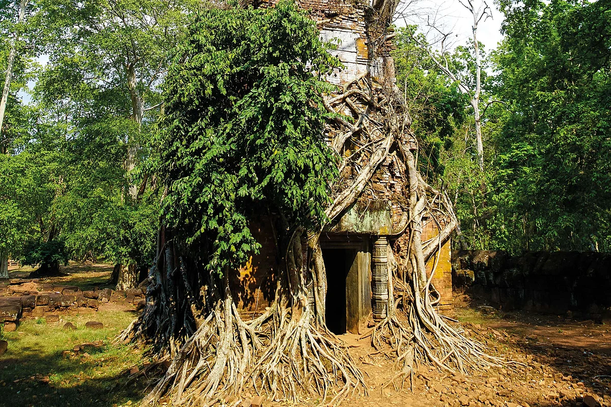 Believe it or not, this is a temple in Cambodia