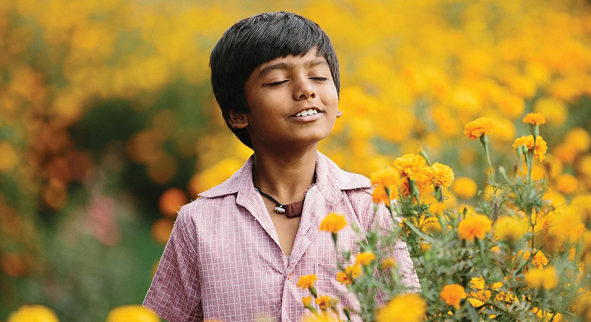 Halkaa Movie Review: The Children’s Version Of Toilet – Ek Prem Katha