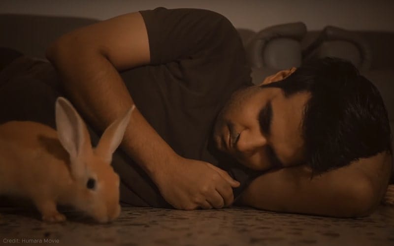 Rabbithole Review: A Modest, Thought-Provoking Short About The Irony Of  Isolation