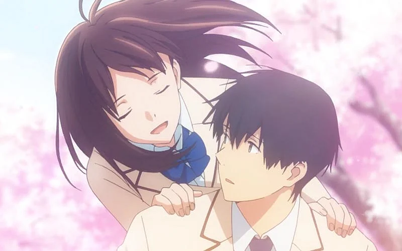 I Want To Eat Your Pancreas Meaning I Want To Eat Your Pancreas