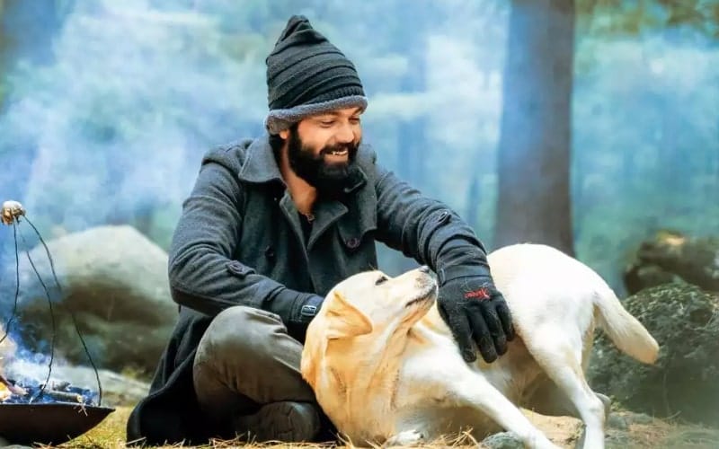 777 Charlie Movie Review Rakshit Shetty s Emotional Roller Coaster Is 777-charlie-movie-review-rakshit-shetty-s-emotional-roller-coaster-is