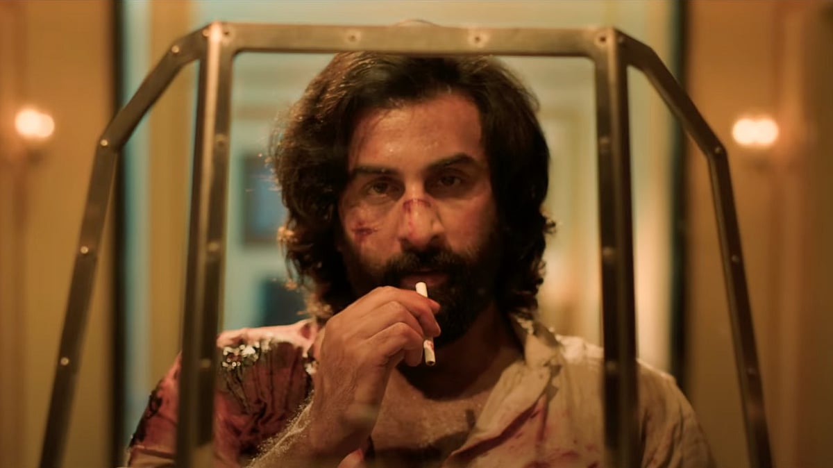 ranbir kapoor animal