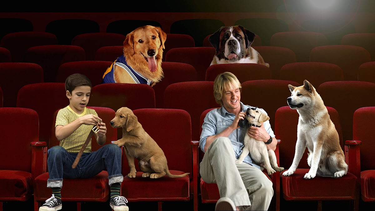 Does The Dog Die In Marley And Me