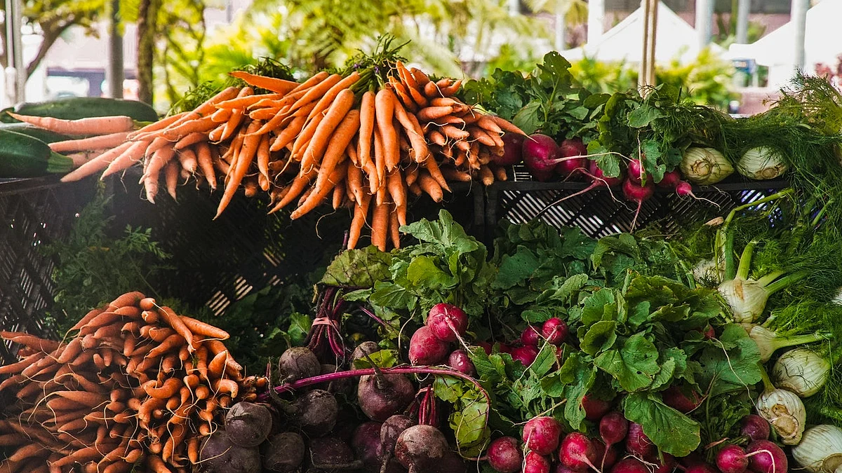 Agri-tech startup OneBasket generates revenue of US$ 1 million