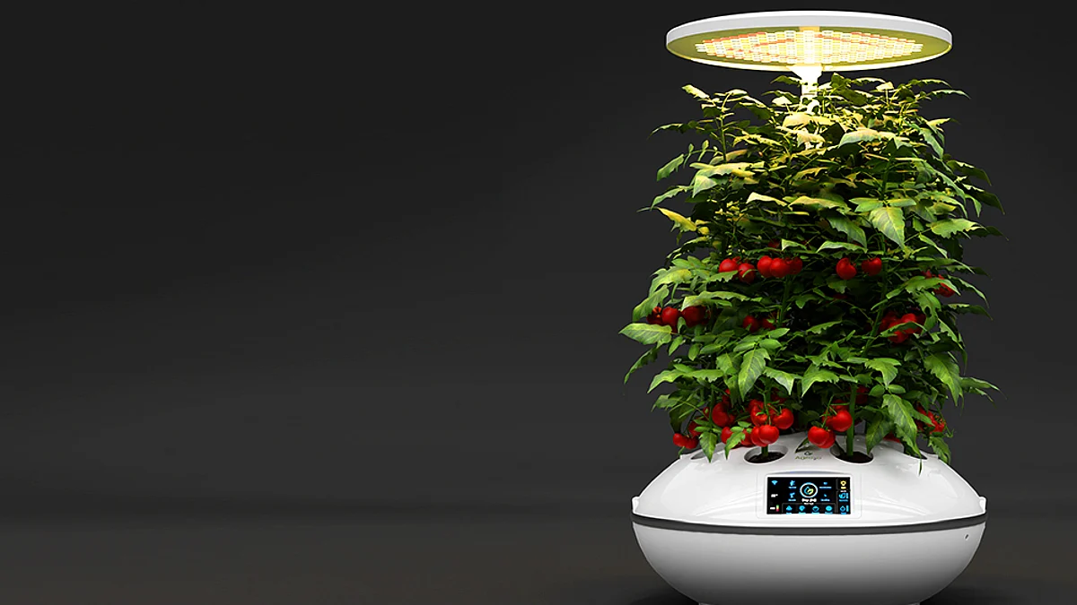 Agro2o - A soil-less loT Smart Garden