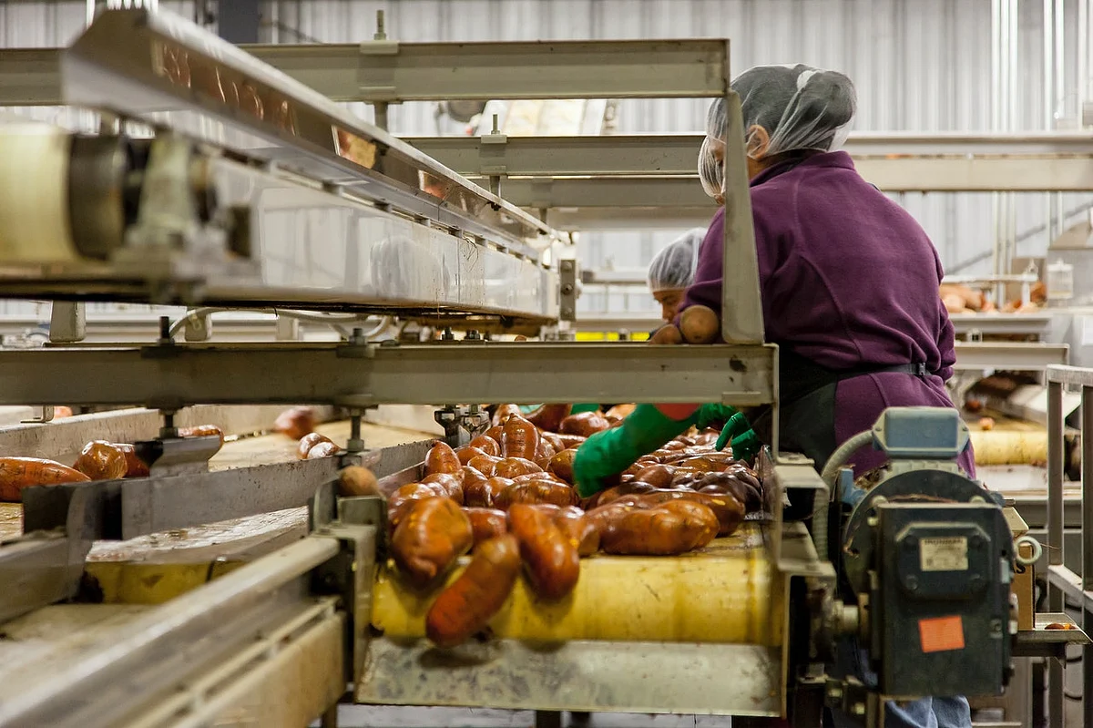 Center takes initiatives to harness food & horticulture potential