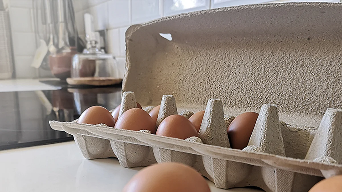 Huhtamaki launches plastic-free egg carton in US & Brazil