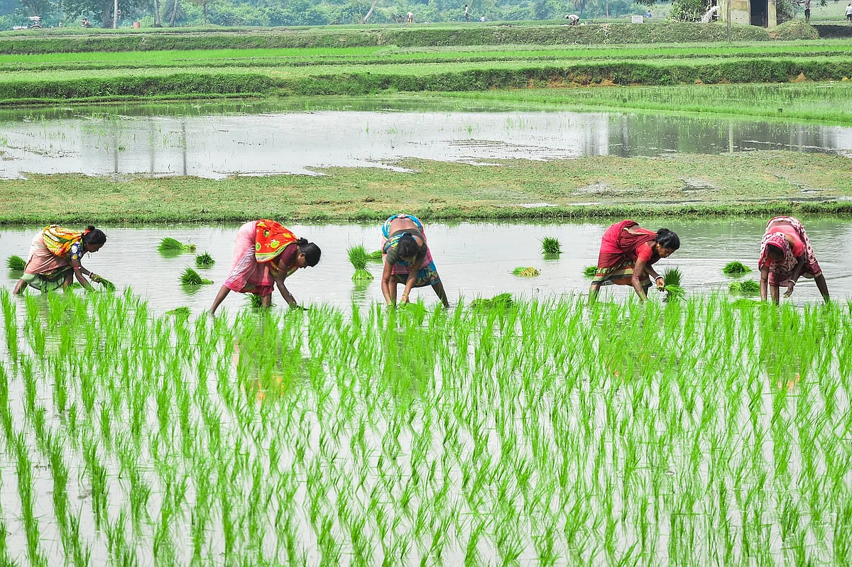 Innoterra & FDRVC collaborate to boost rural entrepreneurship