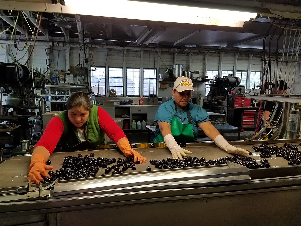Government has been consistently encouraging and incentivizing increased private sector investment for the overall development of the food processing sector of the country
